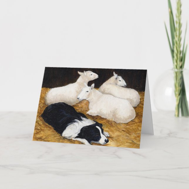 "Border Collie and Sheep" Hunde Art Grußkarte Karte (Vorderseite)