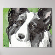 Border Collie Aquarell