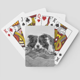 Border Collie Art Spielkarten