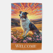 Border Collie auf dem Bauernhof