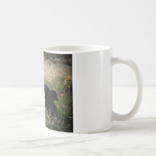Border Collie Australian Shepherd Mix Kaffeetasse