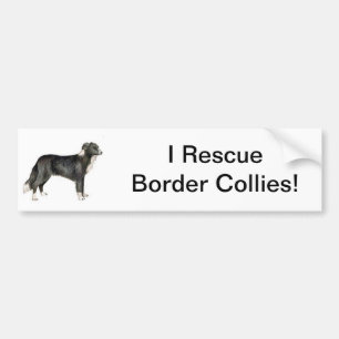 Border-Collie Autoaufkleber
