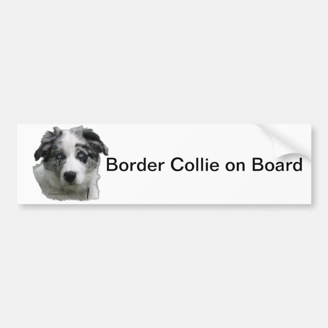 Border-Collie Autoaufkleber (Vorne)