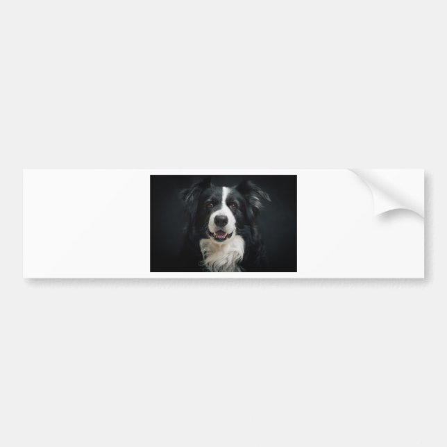 Border-Collie Autoaufkleber (Vorne)
