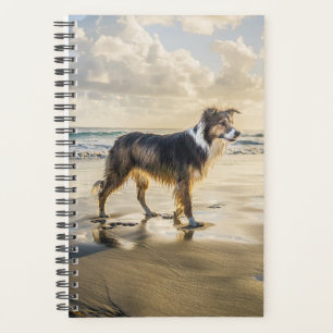 Border Collie Beach Fun Hund Planer