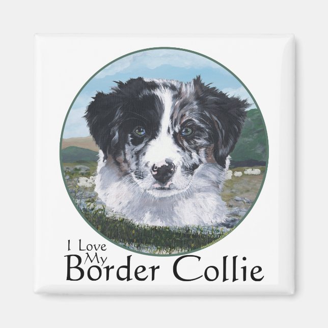 Border Collie bei der Arbeit Magnet (Vorne)