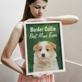 Border Collie Best Mama Poster