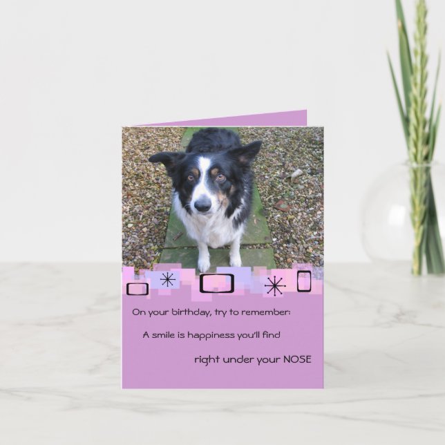 Border Collie Birthday Grußkarte Karte (Vorderseite)