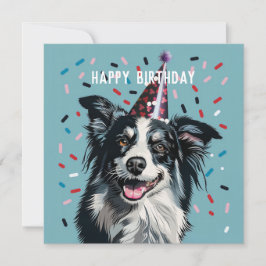 Border Collie Birthday Karte