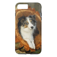 Border-Collie blauer Merle Hund, Zelle Phonecase