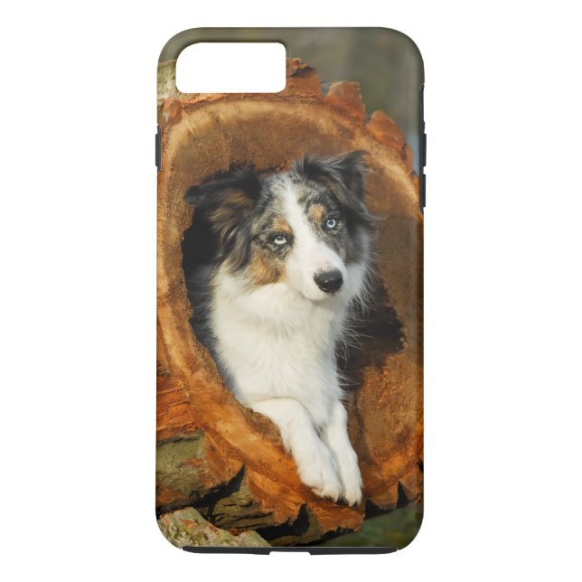 Border-Collie blauer Merle Hund, Zelle Phonecase Case-Mate iPhone Hülle (Rückseite)