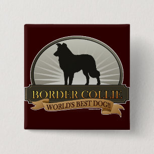 Border-Collie Button