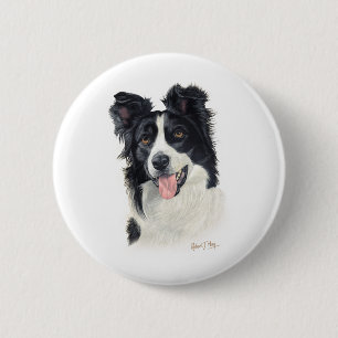 Border-Collie Button