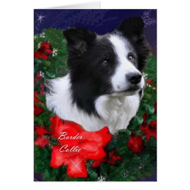 Border Collie Christmas (Vorne)