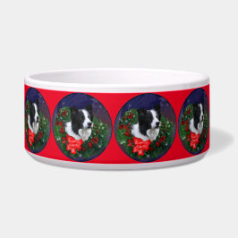 Border Collie Christmas Napf