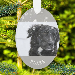 Border Collie Christmas Personalisiert Pet Foto Ornament
