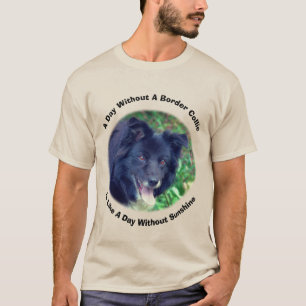 Border Collie Day Without T-Shirt