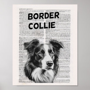 Border Collie Dictionary Page Poster