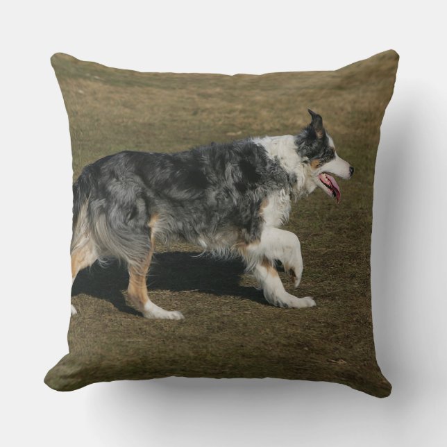 Border-Collie, die 1 laufen lässt Kissen (Vorderseite)