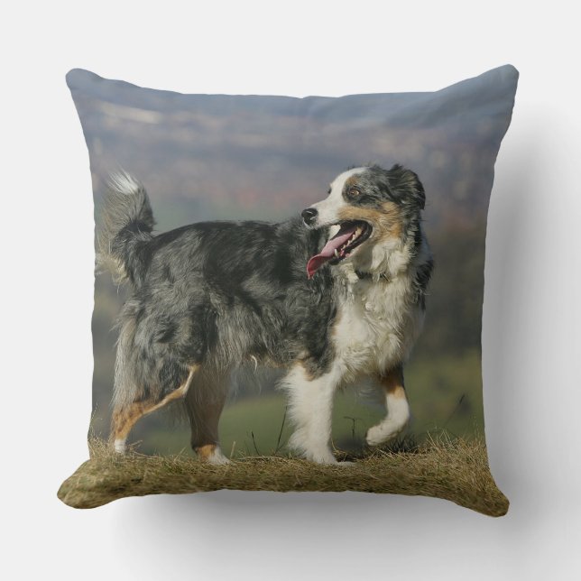 Border-Collie, die 2 keucht Kissen (Vorderseite)
