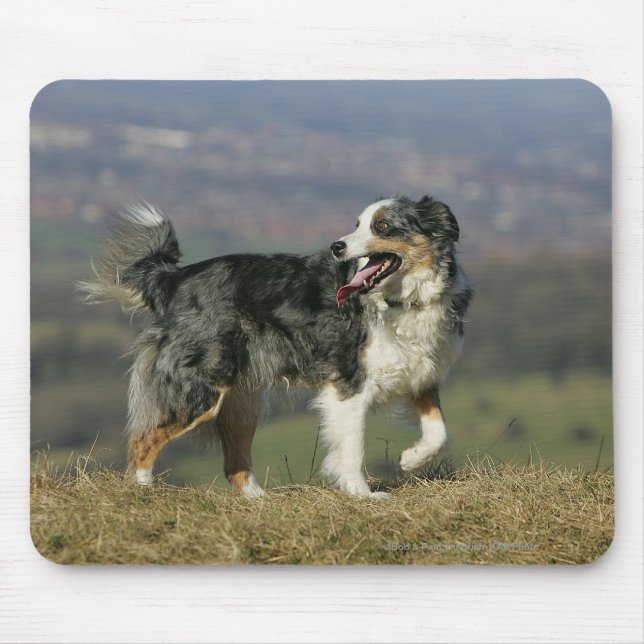 Border-Collie, die 2 keucht Mousepad (Vorne)