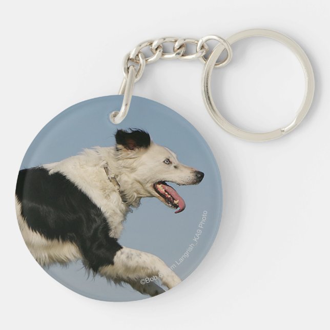 Border-Collie, die 2 laufen lässt Schlüsselanhänger (Rückseite)
