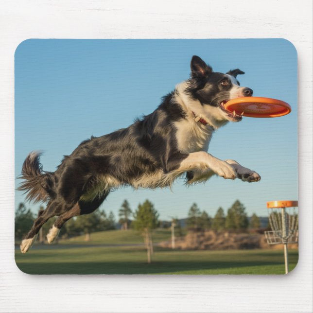 Border Collie Disc Golf Mousepad (Vorne)