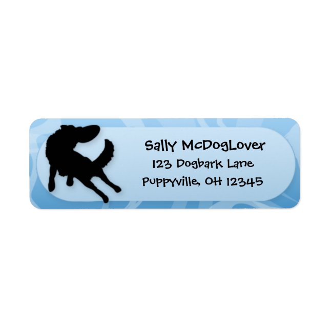 Border Collie Disk Dog (Vorne)