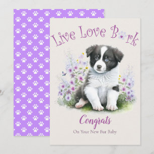 Border Collie Dog Adoption, Gotcha Tag Karte