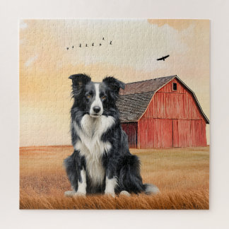 Border Collie Dog and Red Barn Ranch