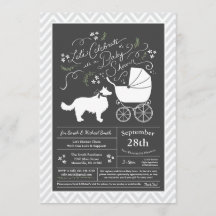 Border Collie Dog Babydusche