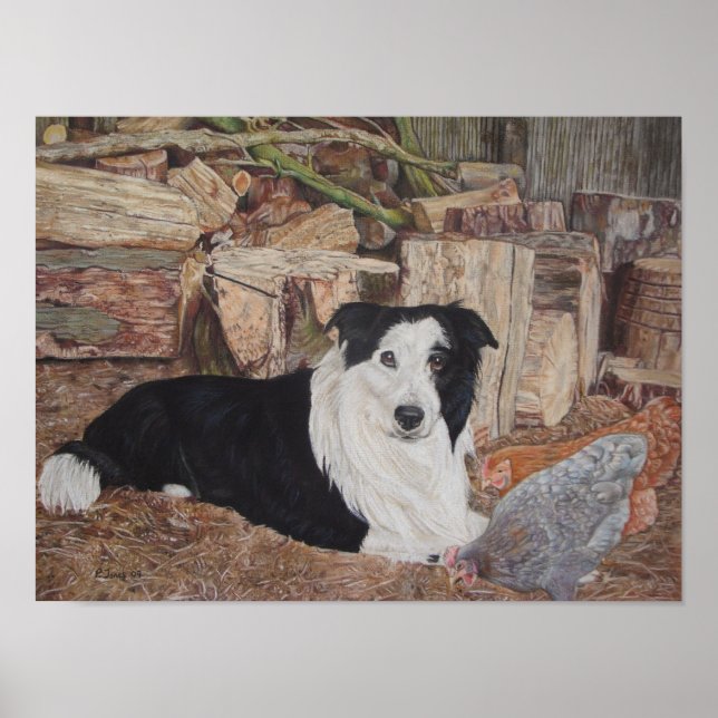 border collie dog in log shed with chickens poster (Vorne)