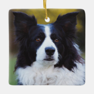Border Collie Dog Keramikornament