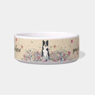 Border Collie Dog mit Pfoten Napf