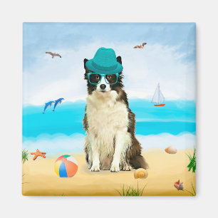 Border Collie Dog on Beach Magnet