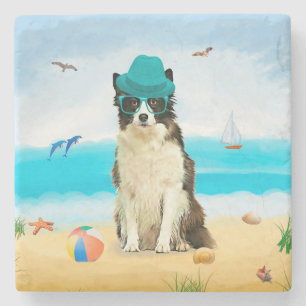 Border Collie Dog on Beach Steinuntersetzer