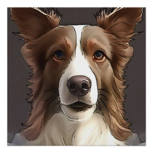 Border Collie Dog Portrait Schwarze Kontur Art Poster