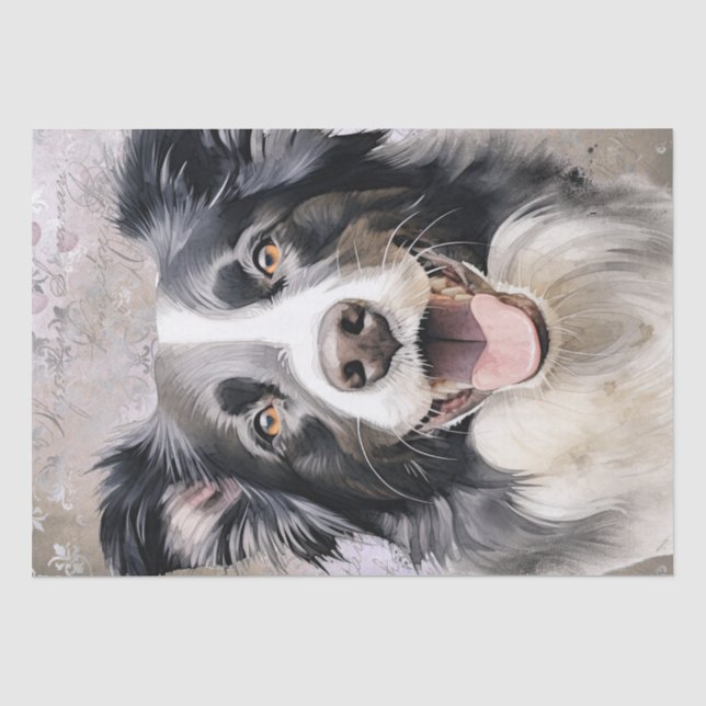 Border Collie Dog Seidenpapier (Vorderseite)