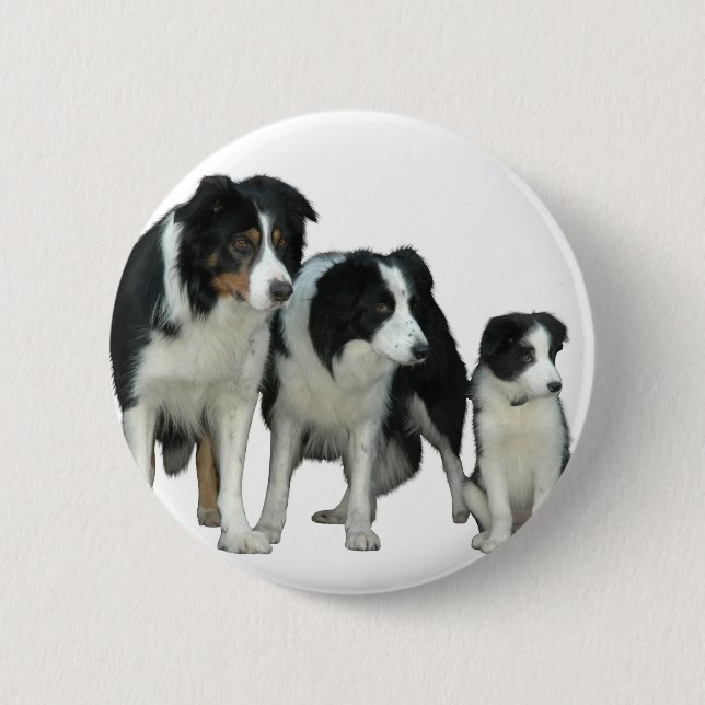 Border Collie Dogs Button (Vorderseite)
