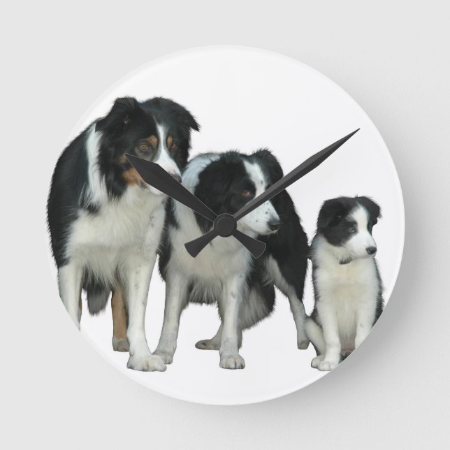 Border Collie Dogs Runde Wanduhr (Vorderseite)