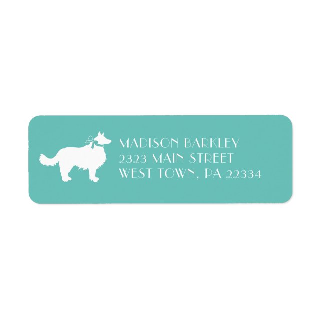 Border Collie Doppy Puppy (Vorne)