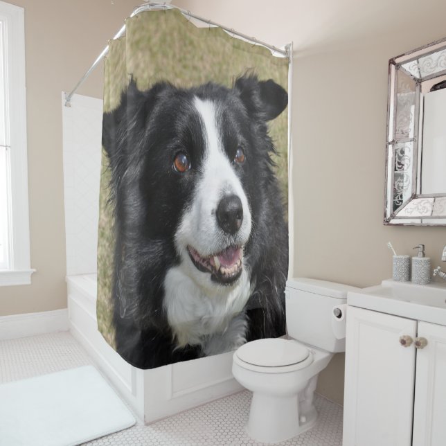 Border Collie Duschvorhang (Beispiel)