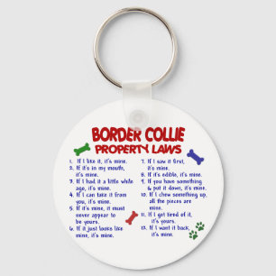 BORDER-COLLIE Eigentums-Gesetze 2 Schlüsselanhänger
