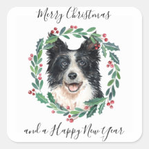 Border Collie Elegant Dog Frohe Weihnachten