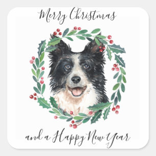 Border Collie Elegant Dog Frohe Weihnachten Quadratischer Aufkleber