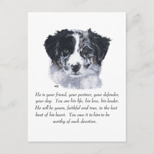 Border Collie Erinnerungen Postkarte
