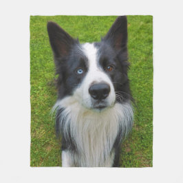 Border Collie Fleecedecke