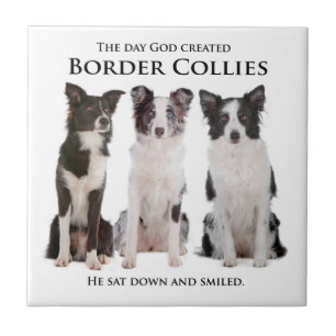 Border-Collie-Fliese Fliese