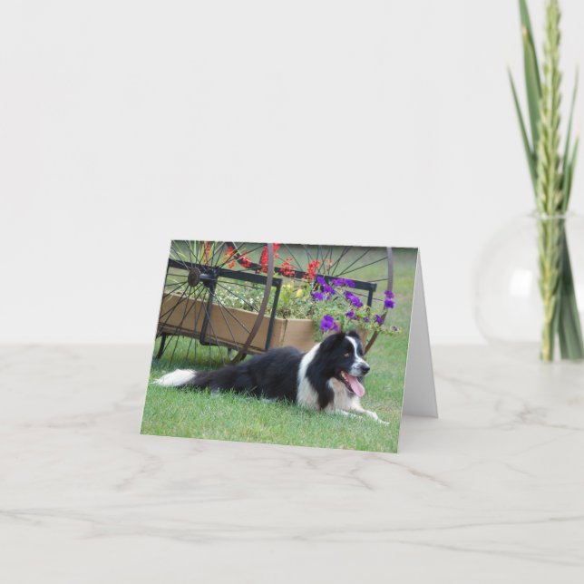 Border Collie & Flower Cart Note Card Karte (Vorderseite)