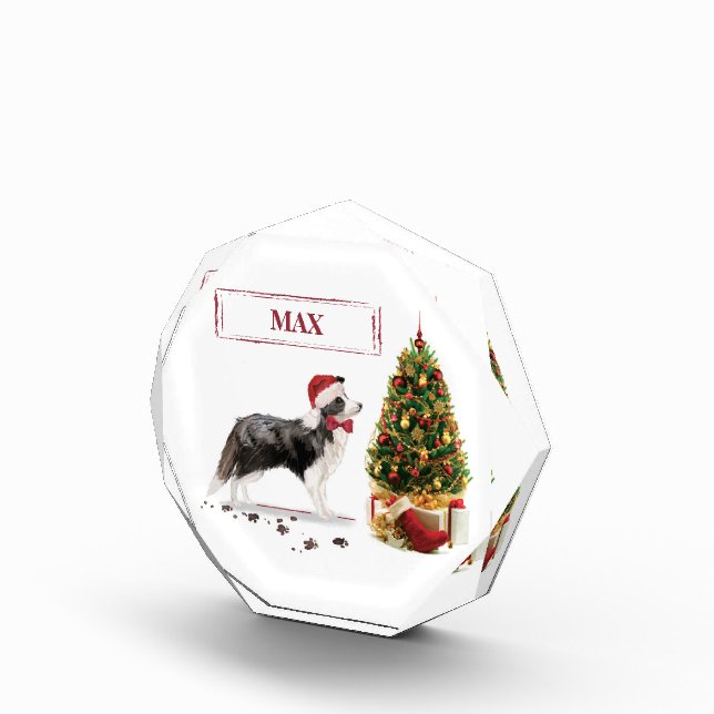 Border Collie Funny Christmas Dog mit Baum Fotoblock (Rechts)